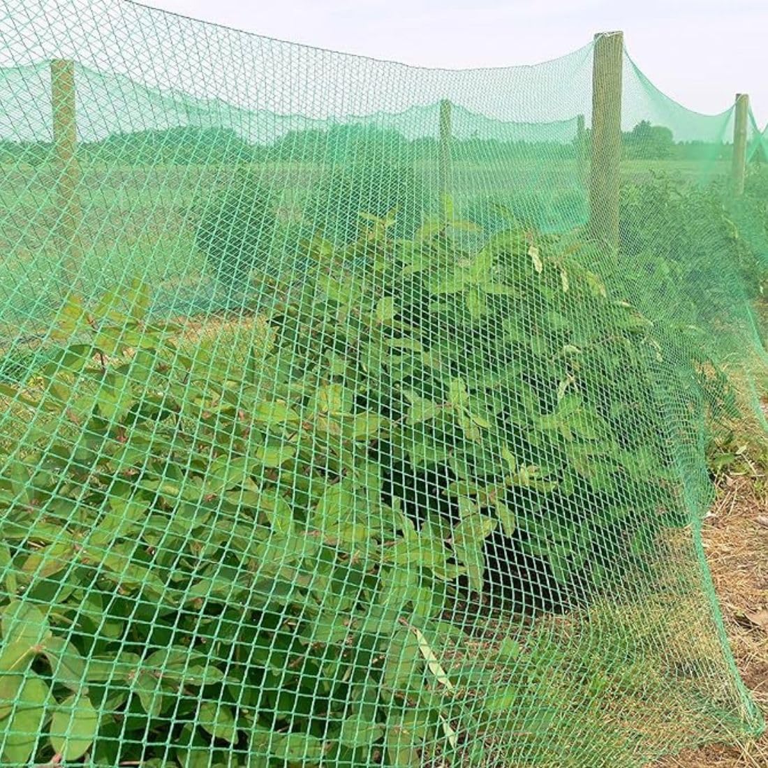 Bird Netting for Garden & Farms Heavy Duty Mesh, 10Ft X 6Ft | Heavy-Duty Mesh | Reusable | UV Resistant | Fruit Tree & Plant Protection | Easy Installation | Outdoor Use-picture-24