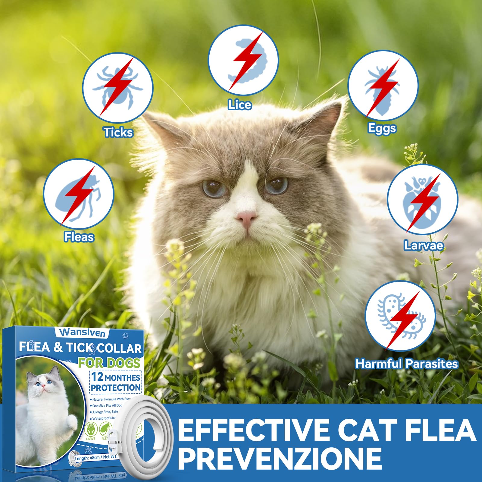 Wansiven Collar antipulgas para Gatos, 12 Meses de protección contra pulgas, 48 ​​cm, Ajustable, Impermeable, antipulgas y garrapatas, Ideal para Gatitos, Gatos medianos y Grandes