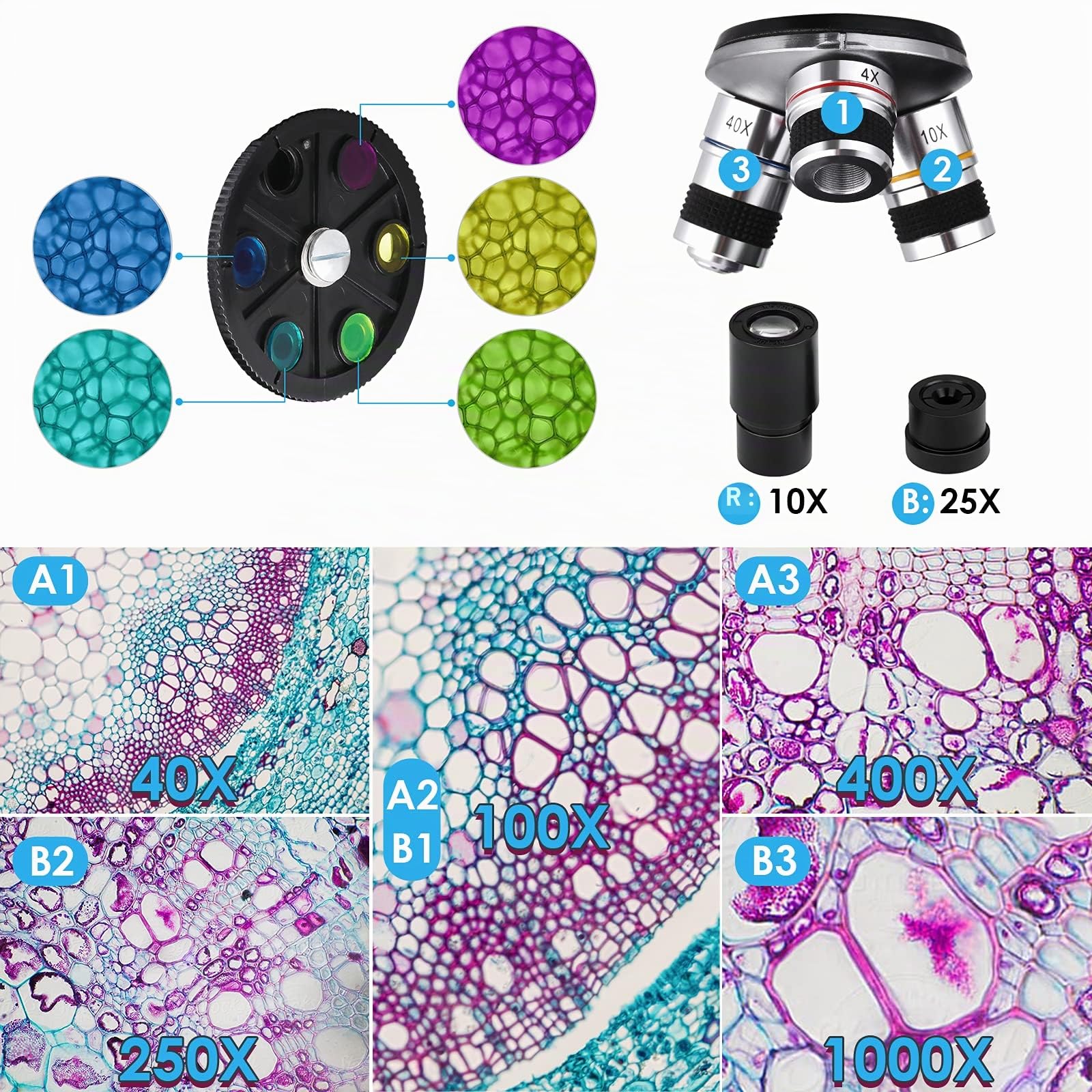 Microscopes pour Enfants, étudiants et Adultes, kit de Microscope Biologique Professionnel avec Lames de Microscope et Adaptateur pour l'enseignement à Domicile et Le Laboratoire Scolaire.