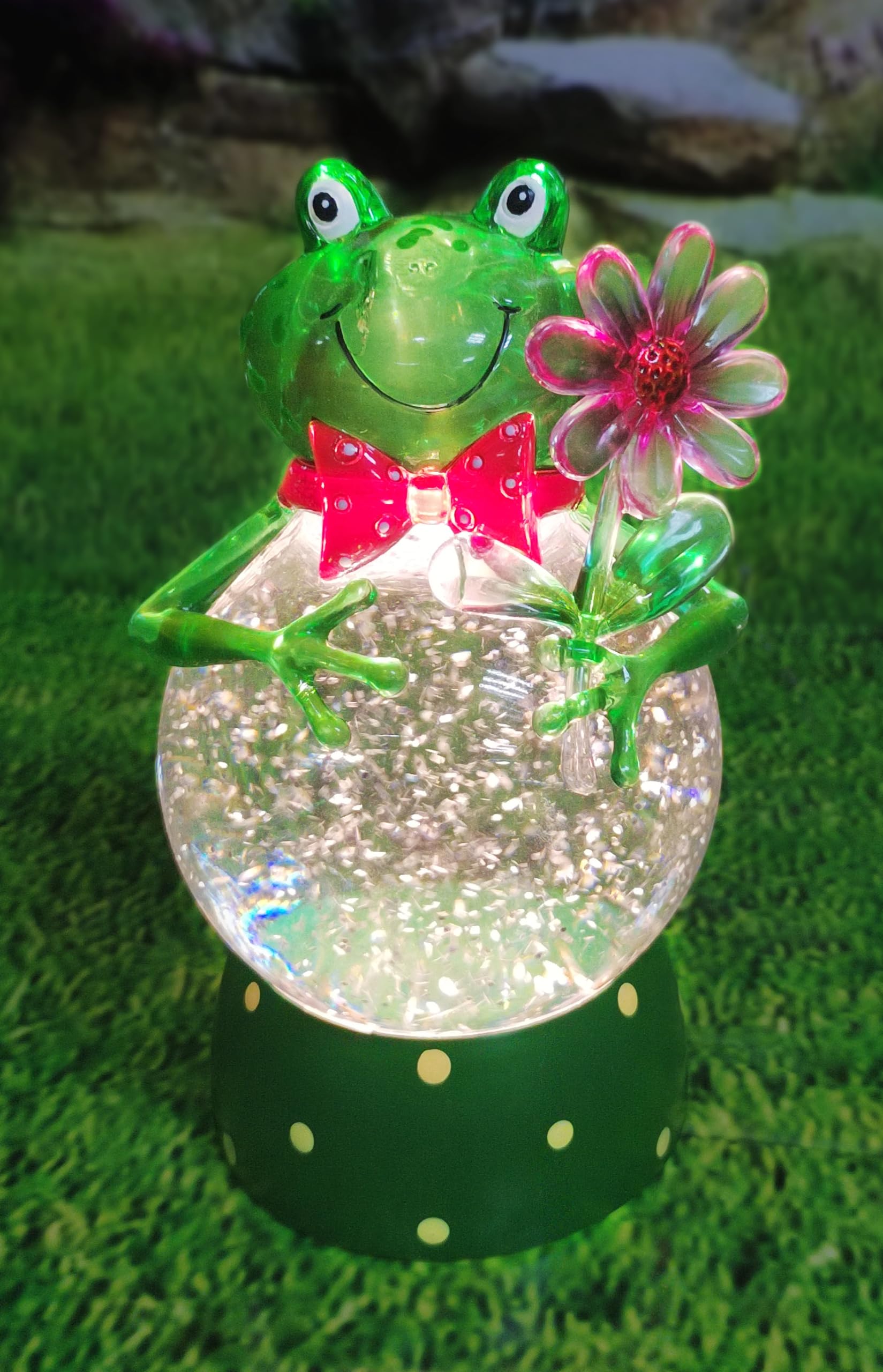 Amazon.com: MOMENTS IN TIME Acrylic Frog Snow Globe LED Light-Up
