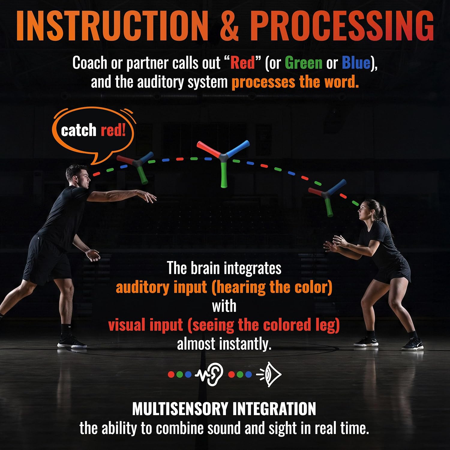 HECOstix Hand-Eye Coordination Trainer (Red/Green/Blue) – Reaction Time & Reflex Tool with Removable Legs | Improves Agility, Focus, & Multisensory Skills | Sports, Fitness, & Fun | All Ages