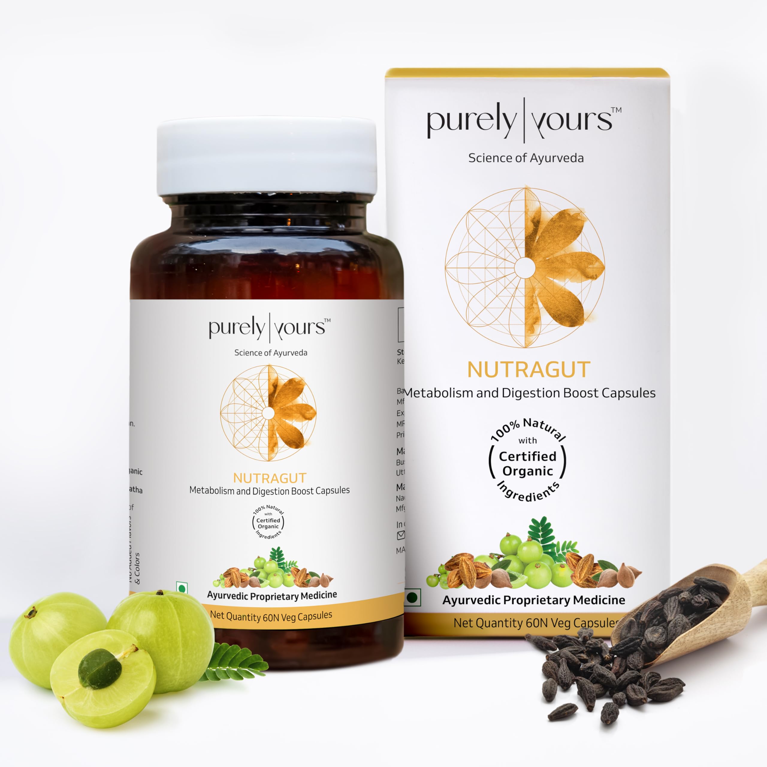 Purely Yours Nutra Gut Health Capsules - Pre And Probiotics For Gut Health, Improves Metabolism | Bloating, Acidity & Constipation Relief, Gut Cleanse for Men & Women, 60 Veg Capsules (B0C1JM2D2V) Amazon Price History, Amazon Price Tracker