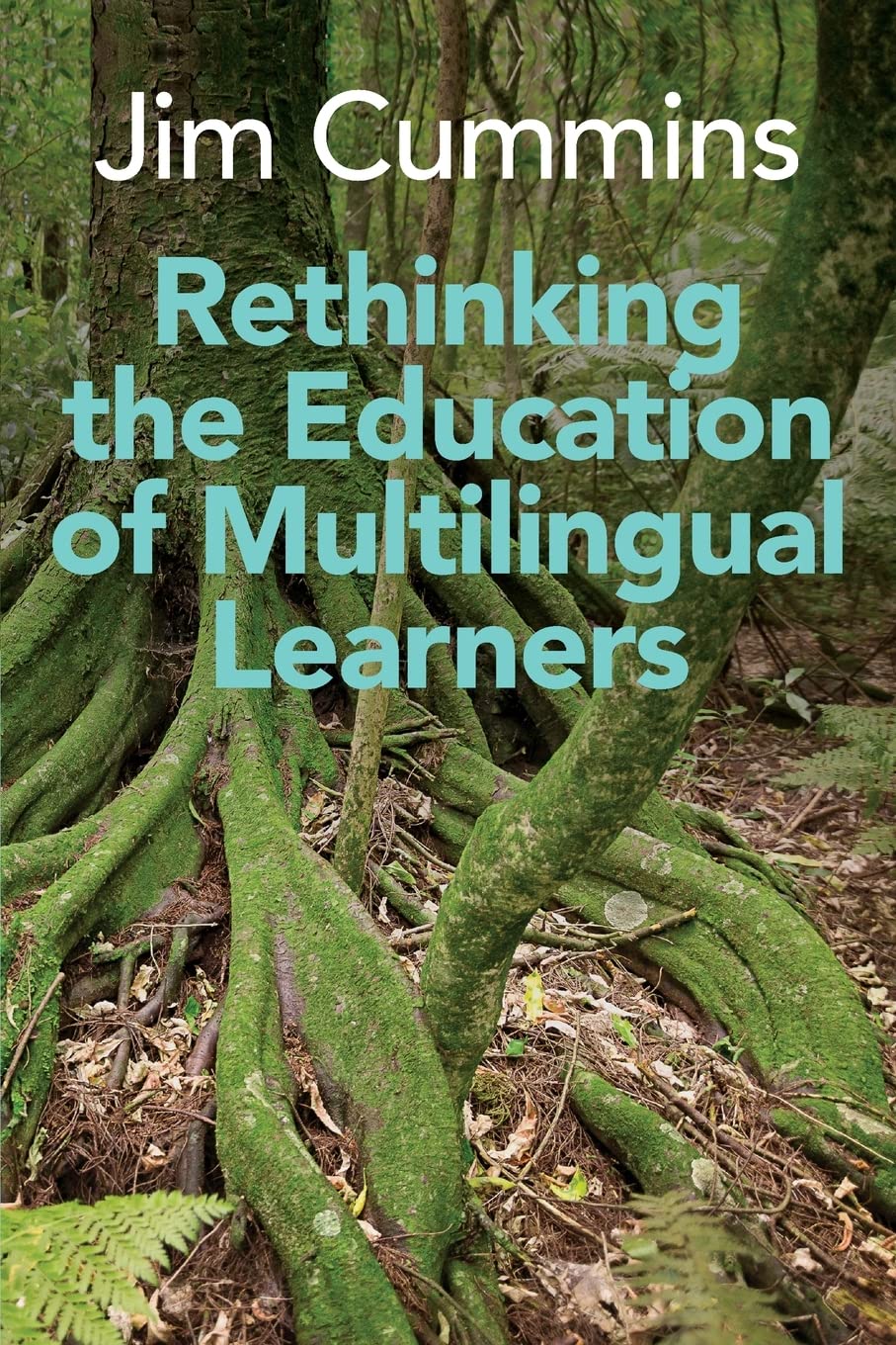 Rethinking the Education of Multilingual Learners: A Critical Analysis of Theoretical Concepts (Linguistic Diversity and Language Rights, 19)