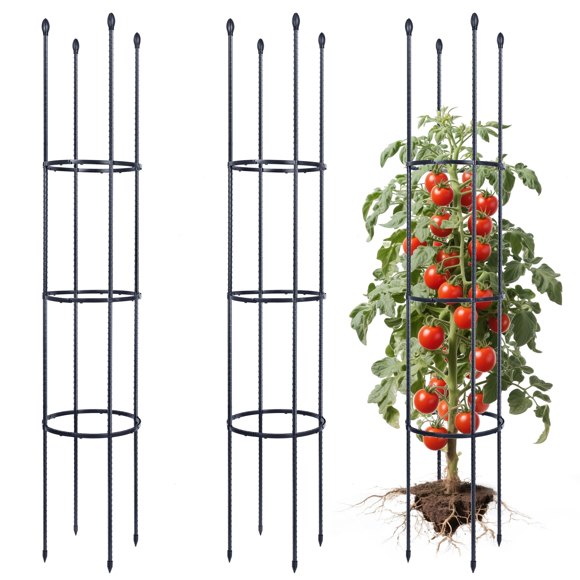 ThxToms 2 supporti per piante rampicanti in metallo, 160 cm, con 30 clip per piante, per pomodori, obelisco, traliccio per rampicanti, piante rampicanti, pomodori, rose, fiori