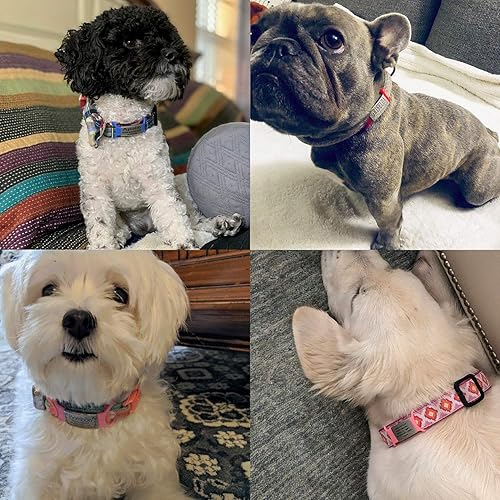 Miniatura 5 de Placa personalizada para mascotas, sin ruido, placa grabada con el nombre del perro, placas de identificación deslizante para gatos, placas de