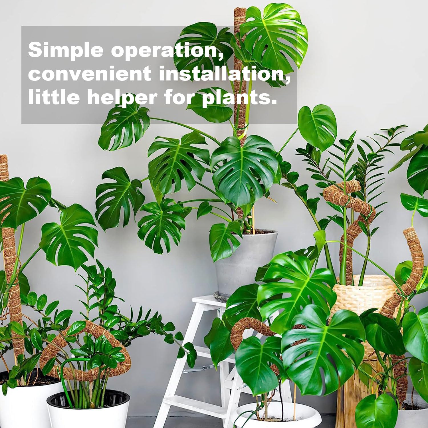Homvvi Moss Poles 28 Inch (Set of 4), Coco Coir Poles for Monstera, Indoor Plants Support - Image 2