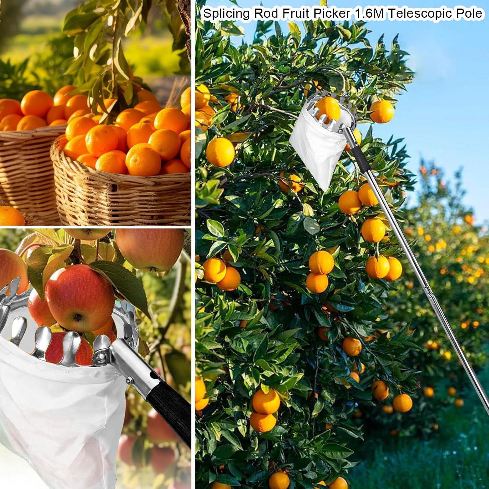 Obstpflücker Stange | Teleskopische Pickerstange - Edelstahl Griffwerkzeug Für Avocado Eichelöffel Birnen Mango Gartenpflücker In Gärten