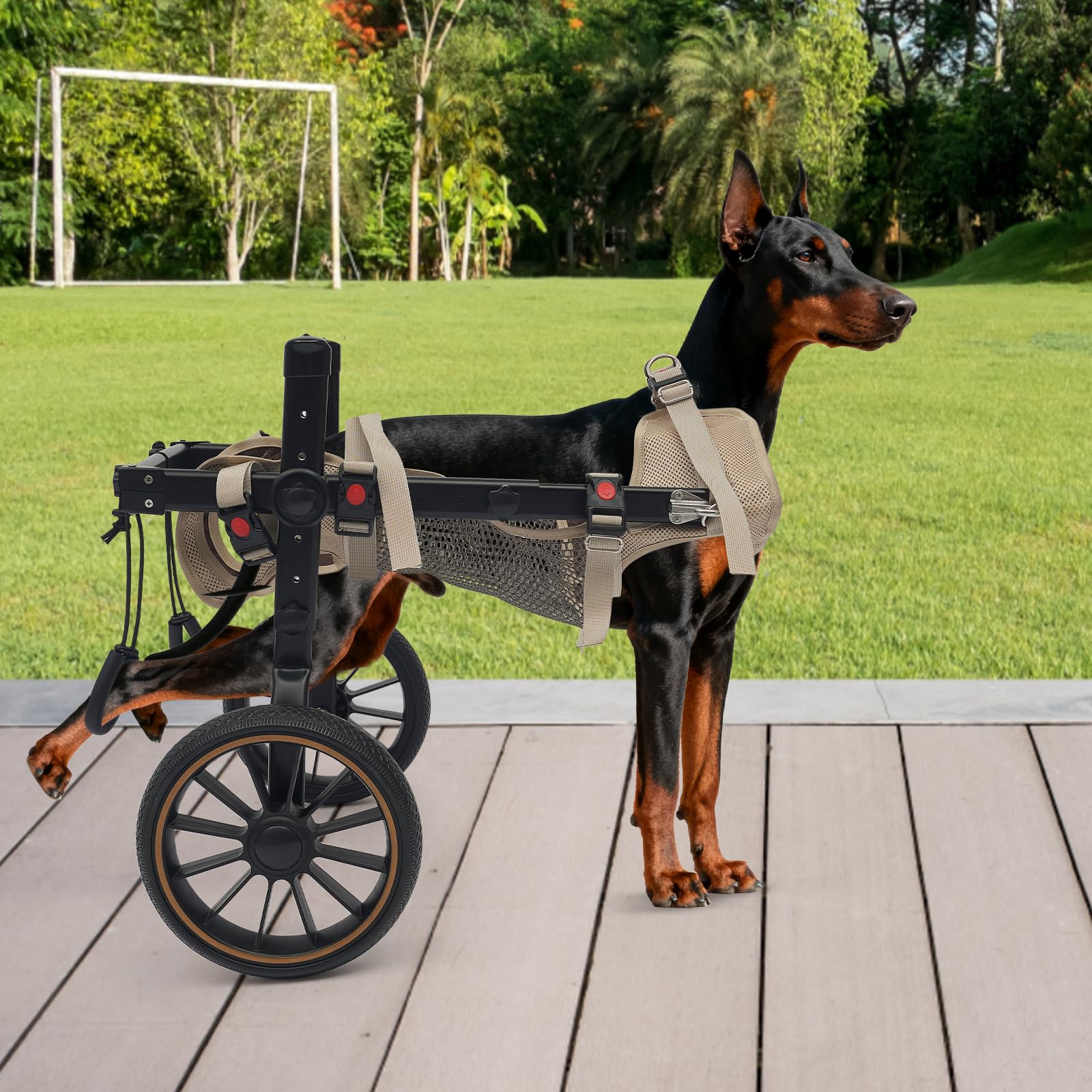 Regulowany wózek dla psów na tylne nogi, 2-kołowy aluminiowy wózek inwalidzki dla średnich i małych psów (≤ 65 kg) dla zranionych lub niepełnosprawnych psów rehabilitacji i mobilności
