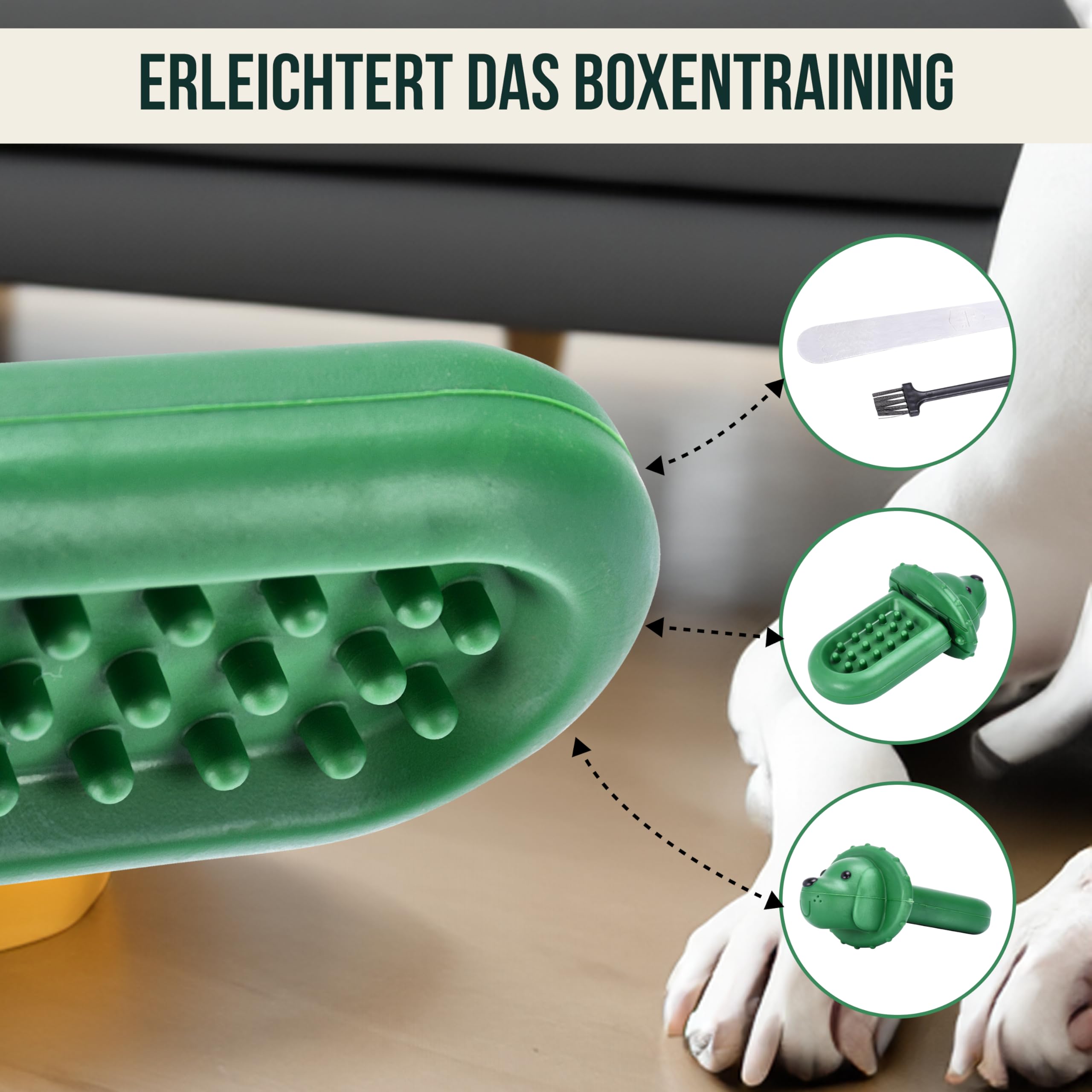 Diggs Groov Hundetrainingsspielzeug – Leckerli-Spender Für Die Box, Reduziert Angst Beim Kistentraining