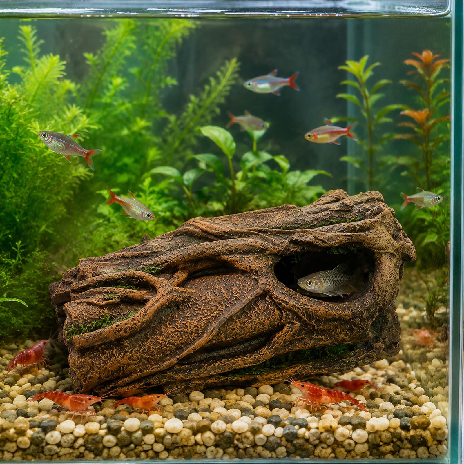 YLME Nascondiglio per rettili Caverna in Resina per rettili Nascondiglio | Decorazione naturale per terrario con texture realistica di albero per gechi, serpenti, lucertole, tartarughe e anfibi
