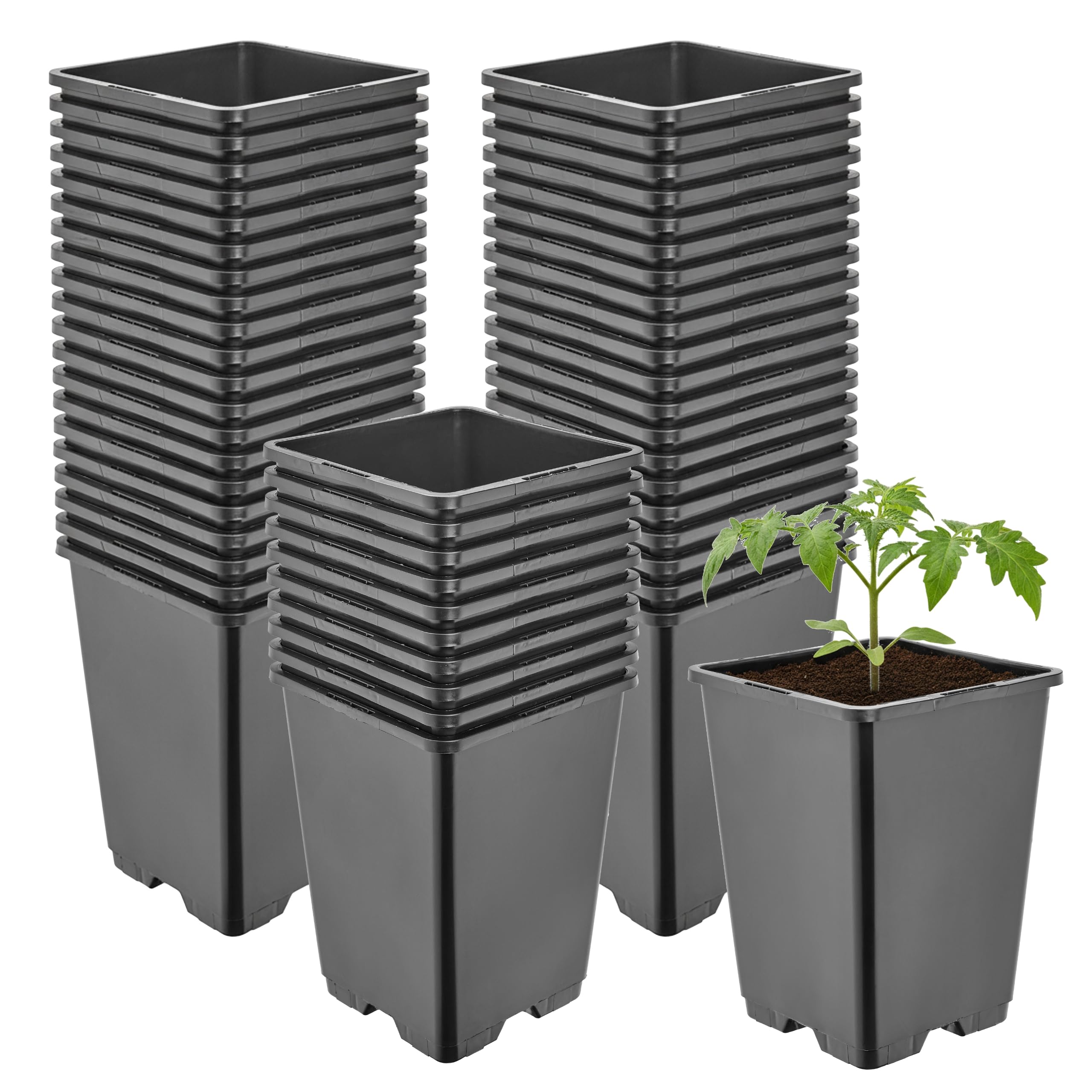 Garronda Pot de Fleur Carré Haut Plastique 11 × H15,5 cm (1,25L) - x50 Godets Semis Pot Culture Profond Drainage Résistants Intempéries pour Plantes Pépinière Jardin Serre Intérieur Extérieur GD-0201