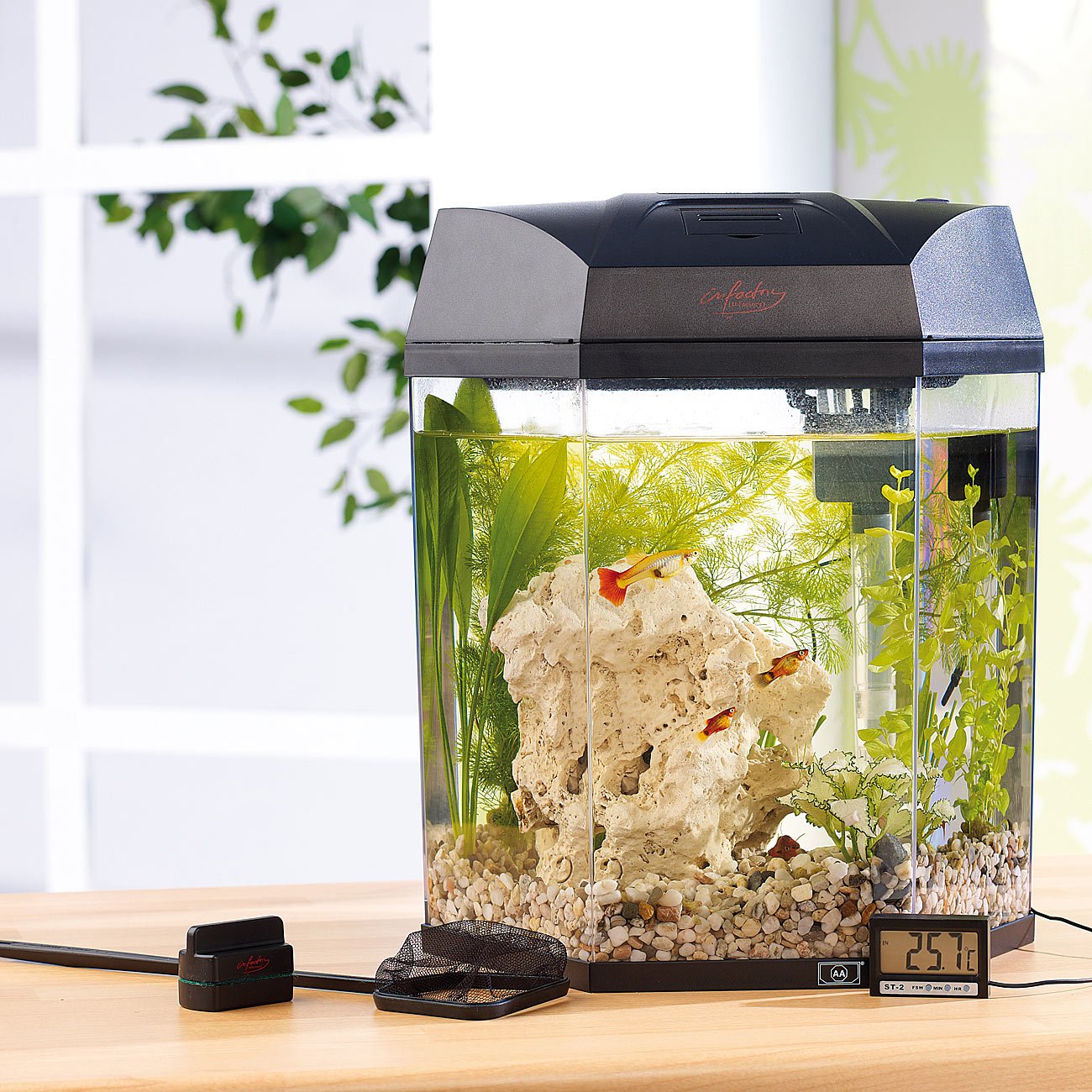 infactory Mini Aquarium Set: Beleuchtetes Panorama-Aquarium Hexagon, Komplett-Set, 19 l (Mini Komplettset, Panorama Komplettset, Eck)
