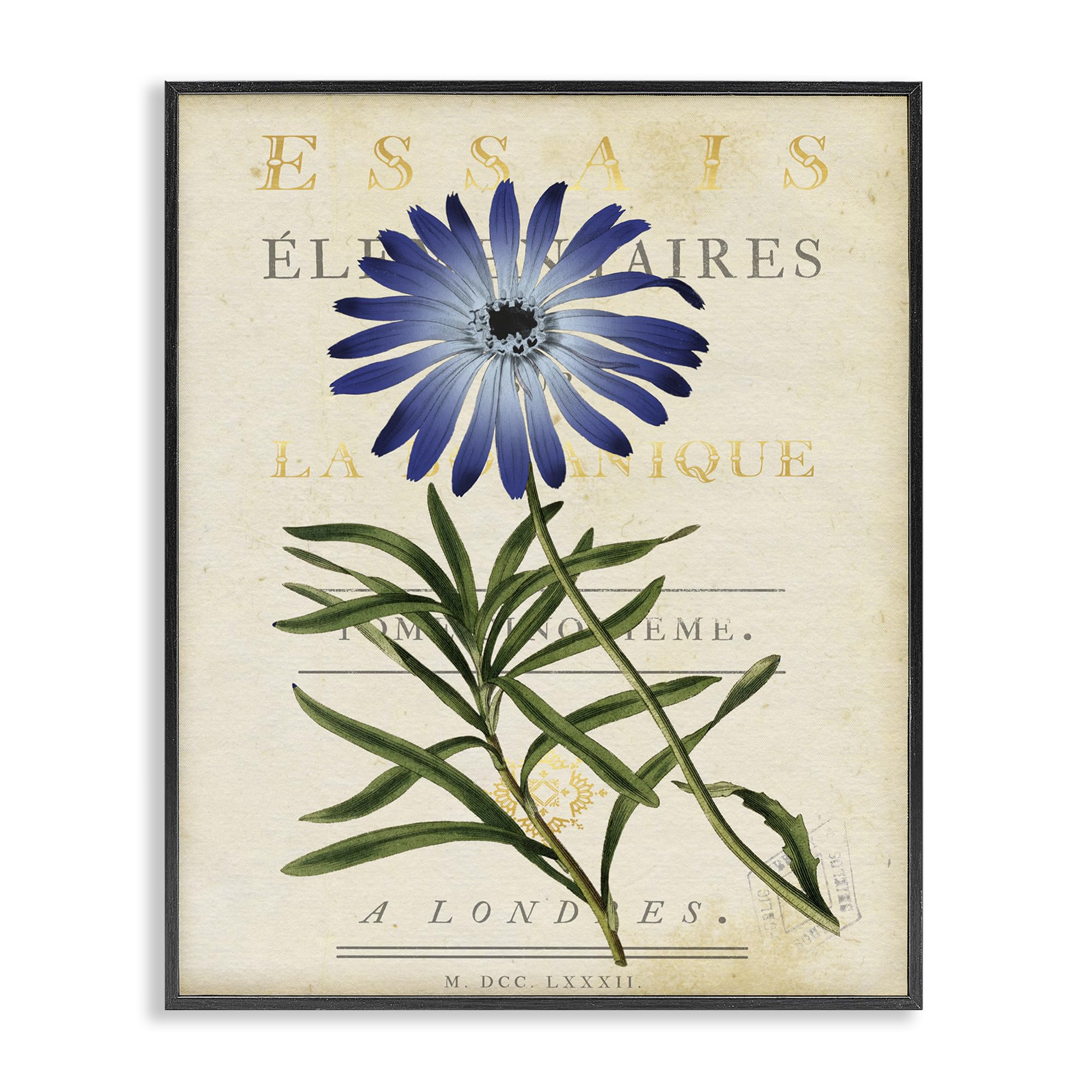 Stupell Industries Midnight Black (Textured) 'Natural Botany Daisy'| Framed Giclee Art