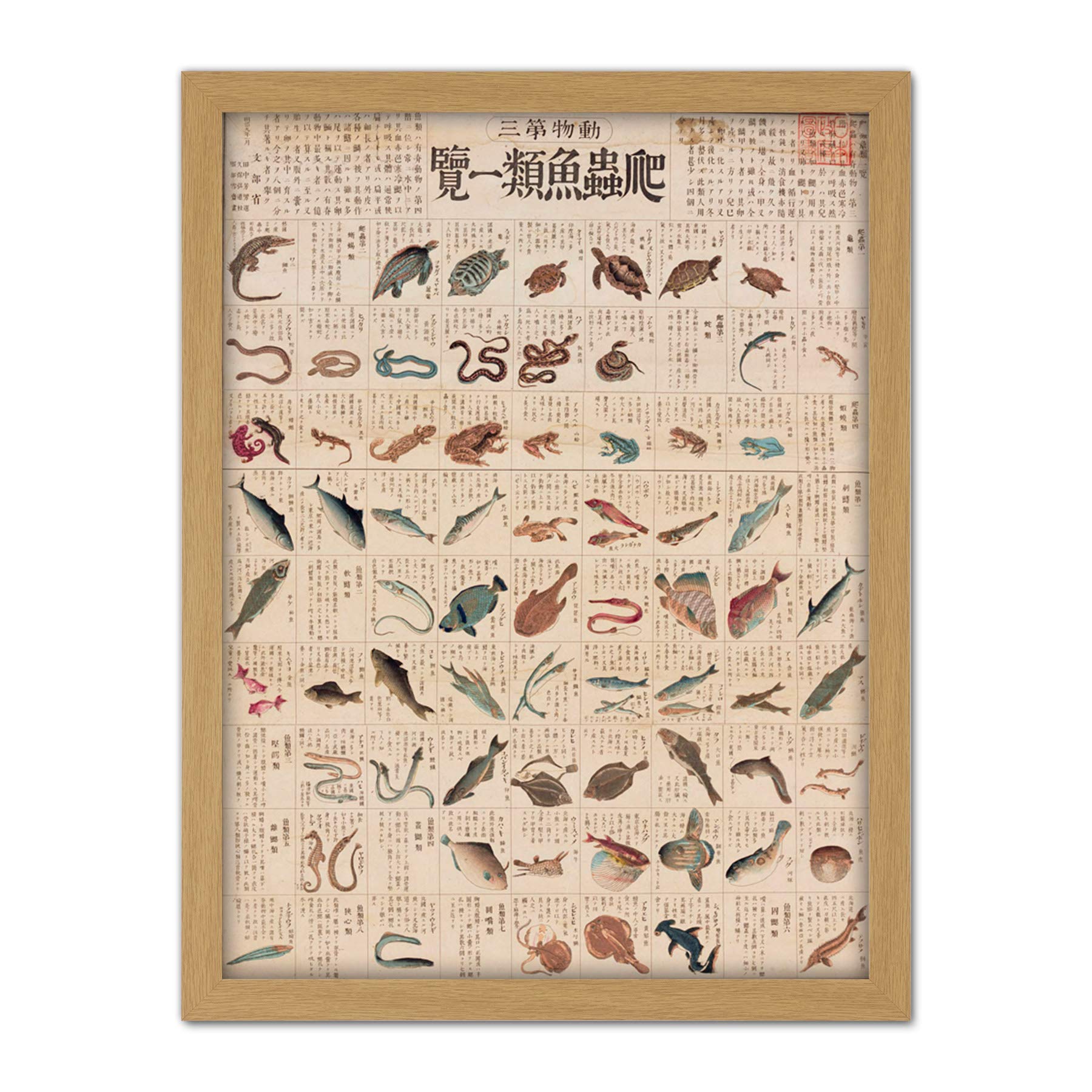 Artery8 Kato Chikusai Species of Fish Reptiles Japanese Artwork Framed Wall Art Print 18X24 Inch