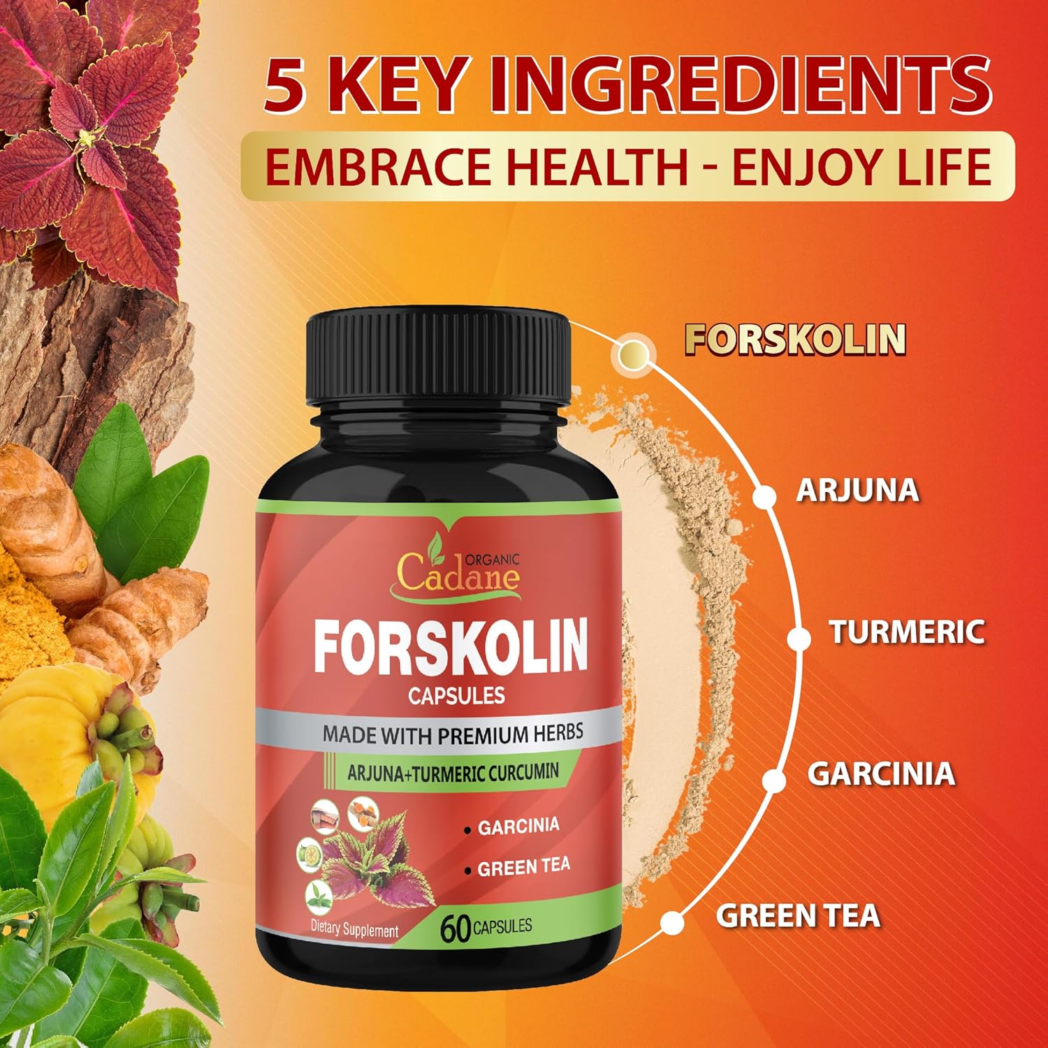 Cadane 2 Packs Forskolin Supplements Capsules & Turmeric, Arjuna, Garcinia Cambogia, Green Tea - Maximum Strength Coleus Forskohlii Extract - Support Immune System - 4 Months Supply - Image 5
