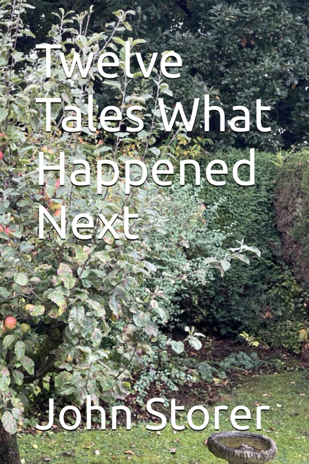 Twelve Tales What Happened Next