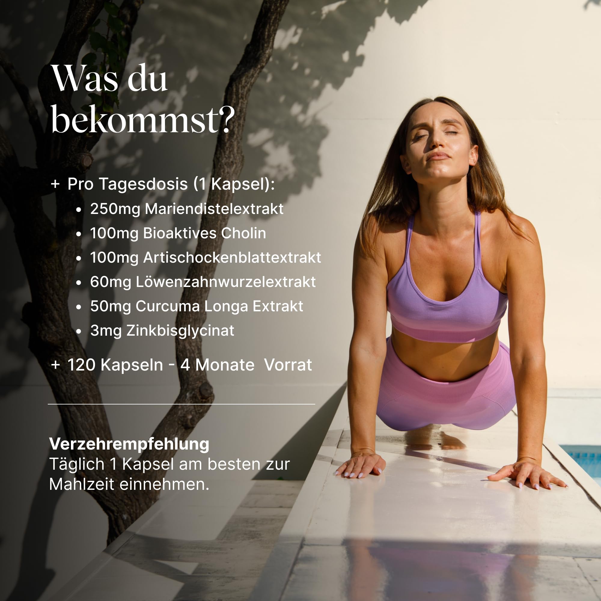 VETAIN Leber Kur Mariendistel Komplex - 80 % Silymarin (200mg) - Löwenzahn, Cholin, Artischocke, Curcuma & Zink - 120 Kapseln - Hochdosiert & vegan - produziert & laborgeprüft in Deutschland