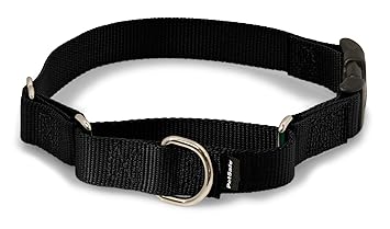 PetSafe Martingale Collar with Quick Snap Buckle, 1