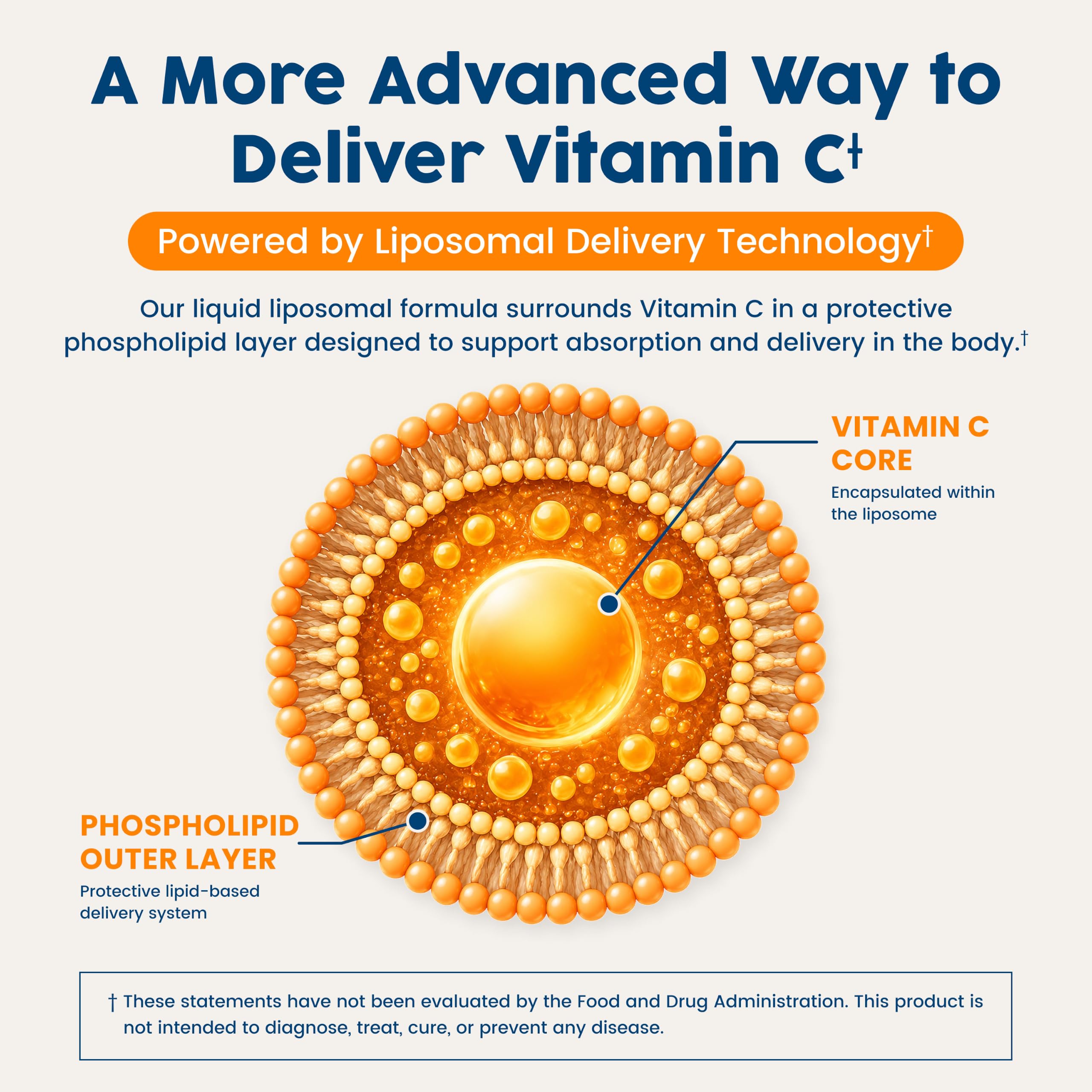 lipid encapsulated vitamin c Liposomal Capsules 1500mg Made with Organic Acerola Cherries & Camu Camu, High Potency Vitamin C Liposomal For increased absorption Liposomal Vitamin C Liquid, 4x