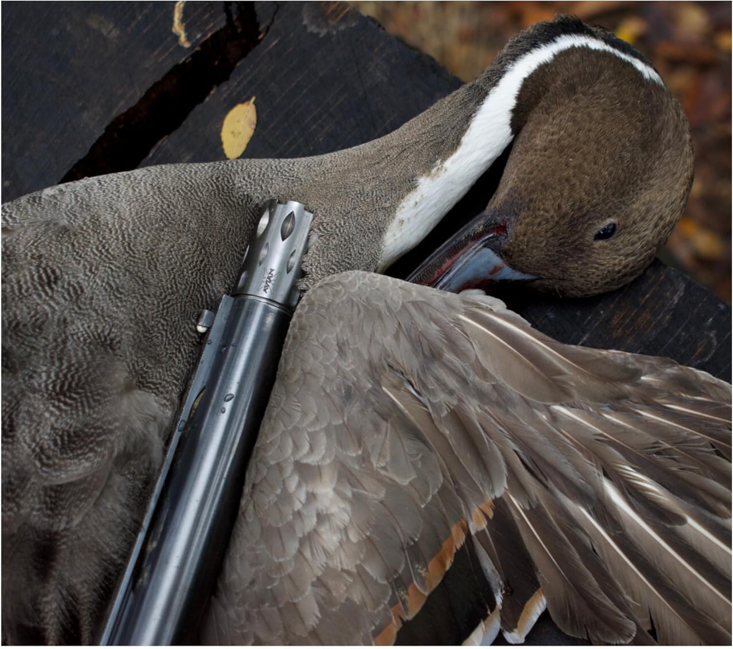 Avian-X 12 Guage Waterfowl Crusher Chokes Tubes with Wide Groove Technology