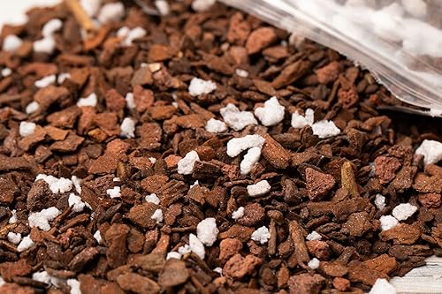 Miniatura 7 de rePotme Suelo suculento (bolsa estándar, cactus de Navidad)