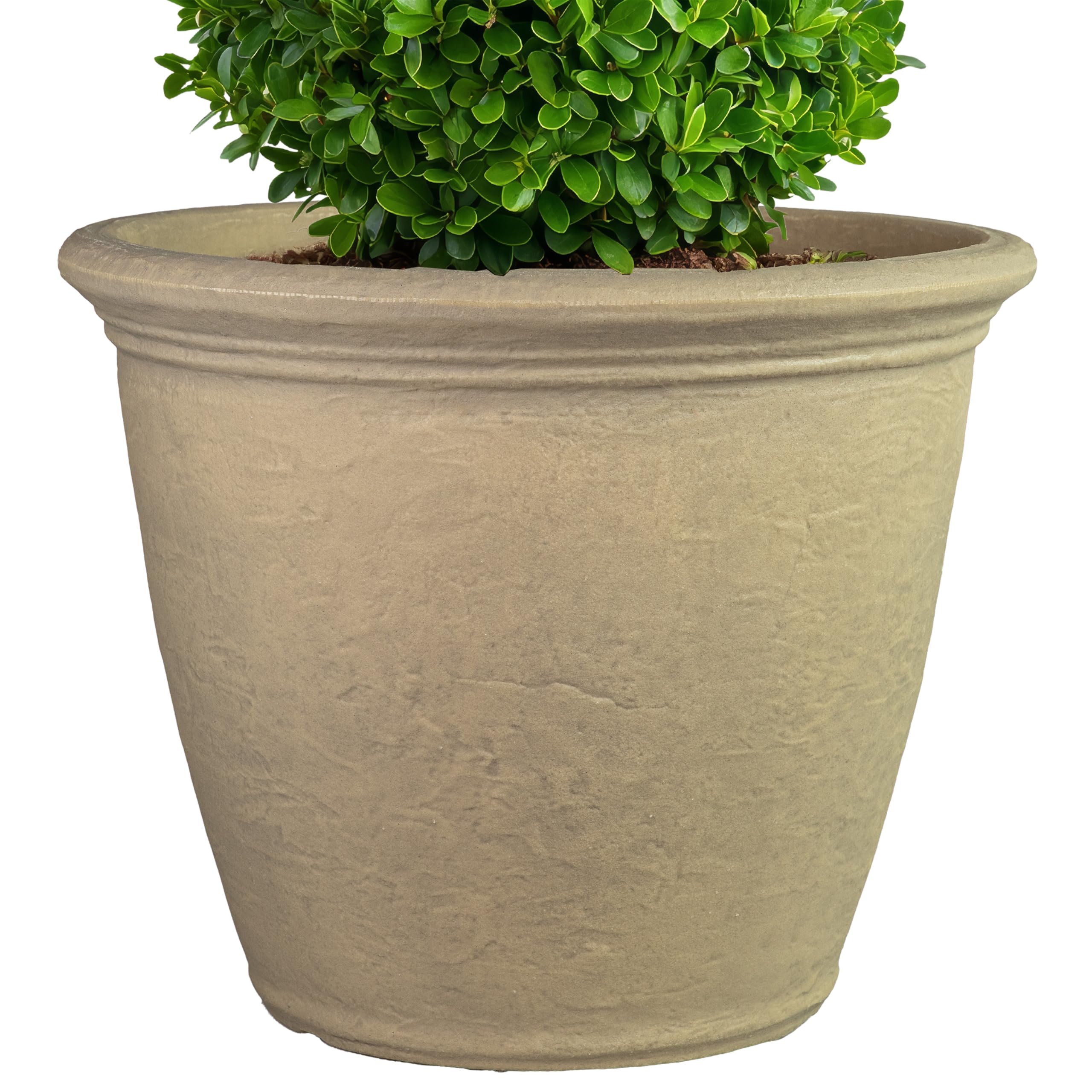 Sunnydaze Anjelica Planter