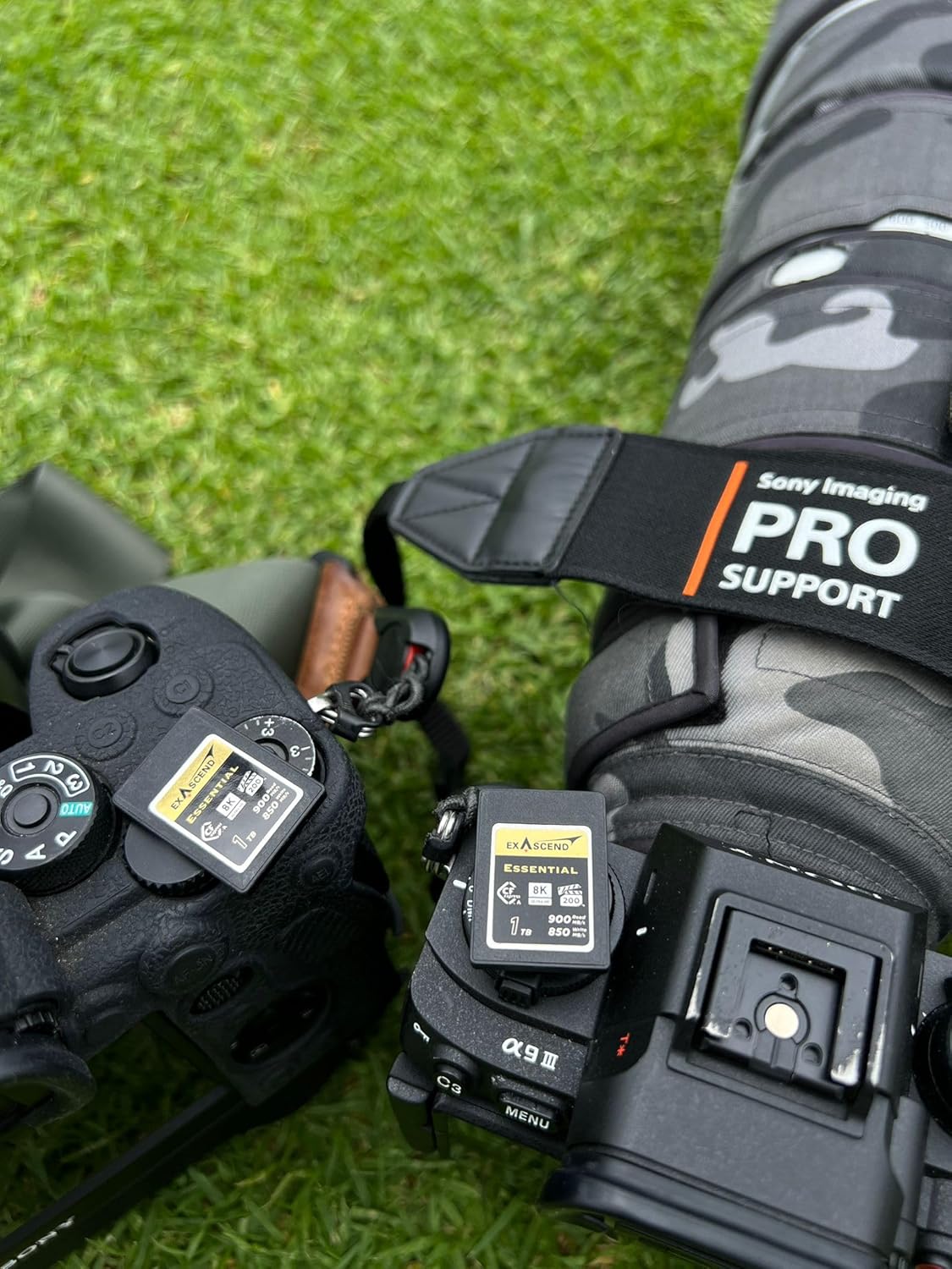 Exascend 120 GB / 180 GB / 240 GB Essential CFexpress Type A Card, Sustained Read 800MB/s, Compatible with Sony a1 / a7S III / a7 IV / FX3 / FX6 (480GB)