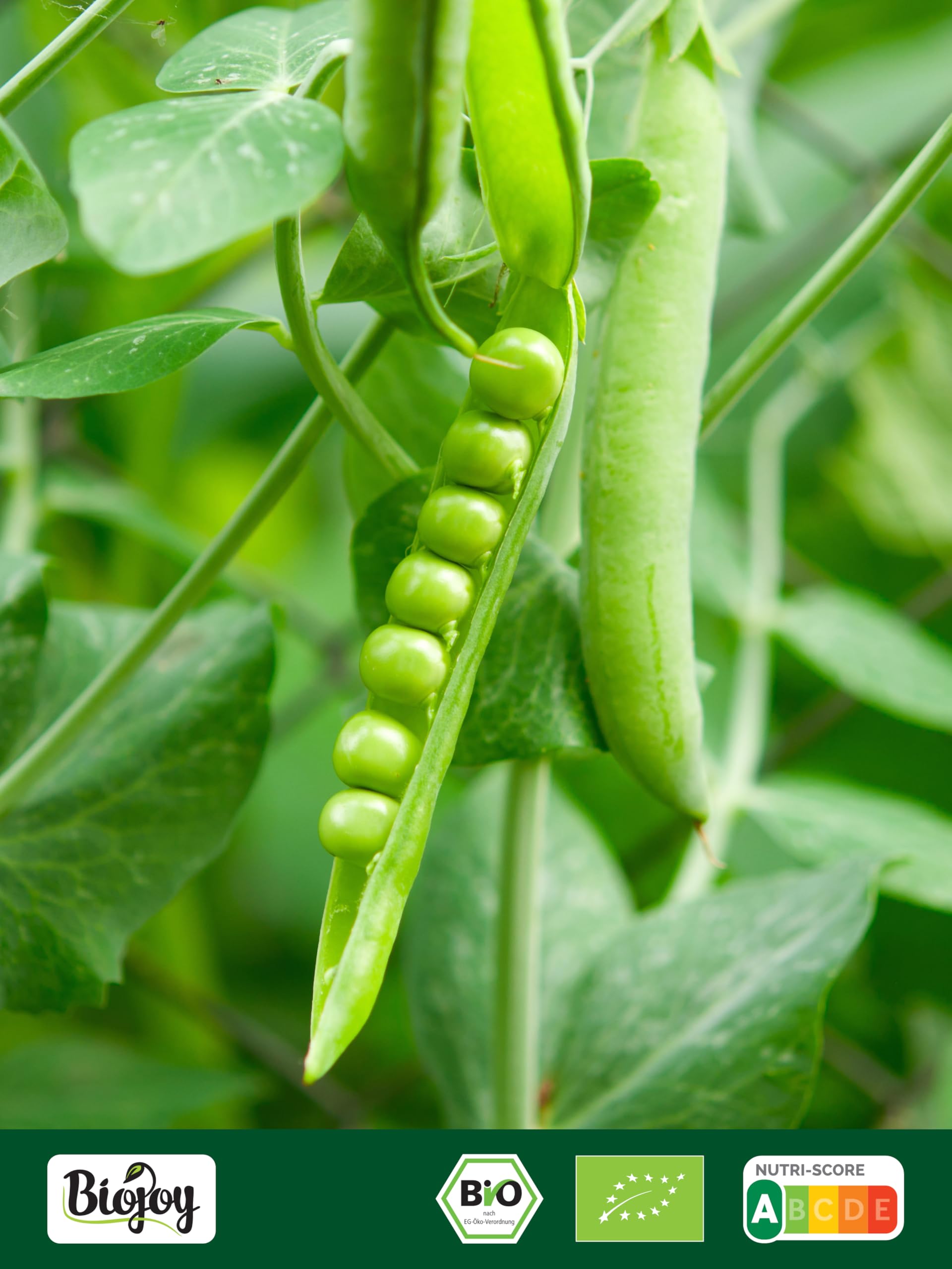 Biojoy Guisantes secos BÍO (1,5 kg), verdes y enteros, sin aditivos