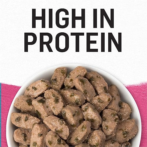 Miniatura 3 de Purina Beyond - Comida húmeda para perros, sin cereales, sabor carne de res criada en granjas y espinacas en salsa, paquete de 12, latas de 12.5