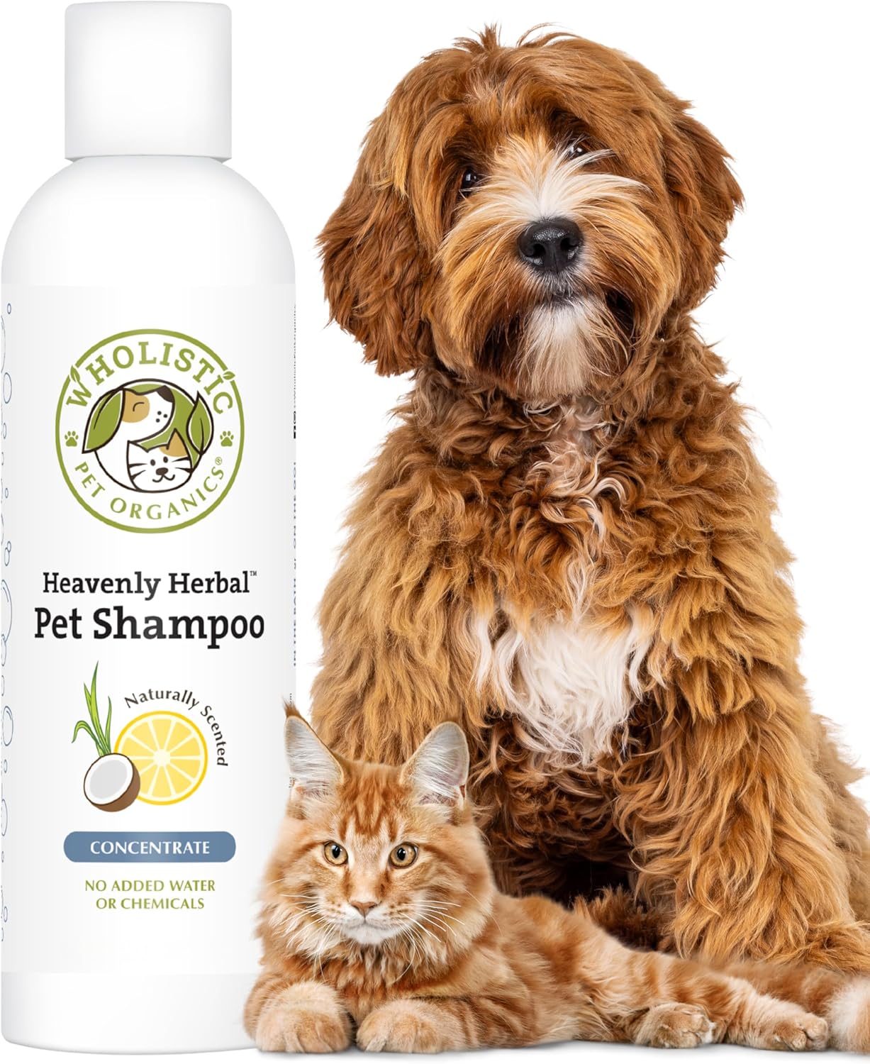 Wholistic Pet Organics Pet Shampoo Concentrate: USDA Organic Cat and Dog Shampoo for Sensitive Skin and Coat Support - Mild and Non-Irritating, Natural, Non-Toxic, Sulfate-Free, & Cruelty-Free - 16 Oz