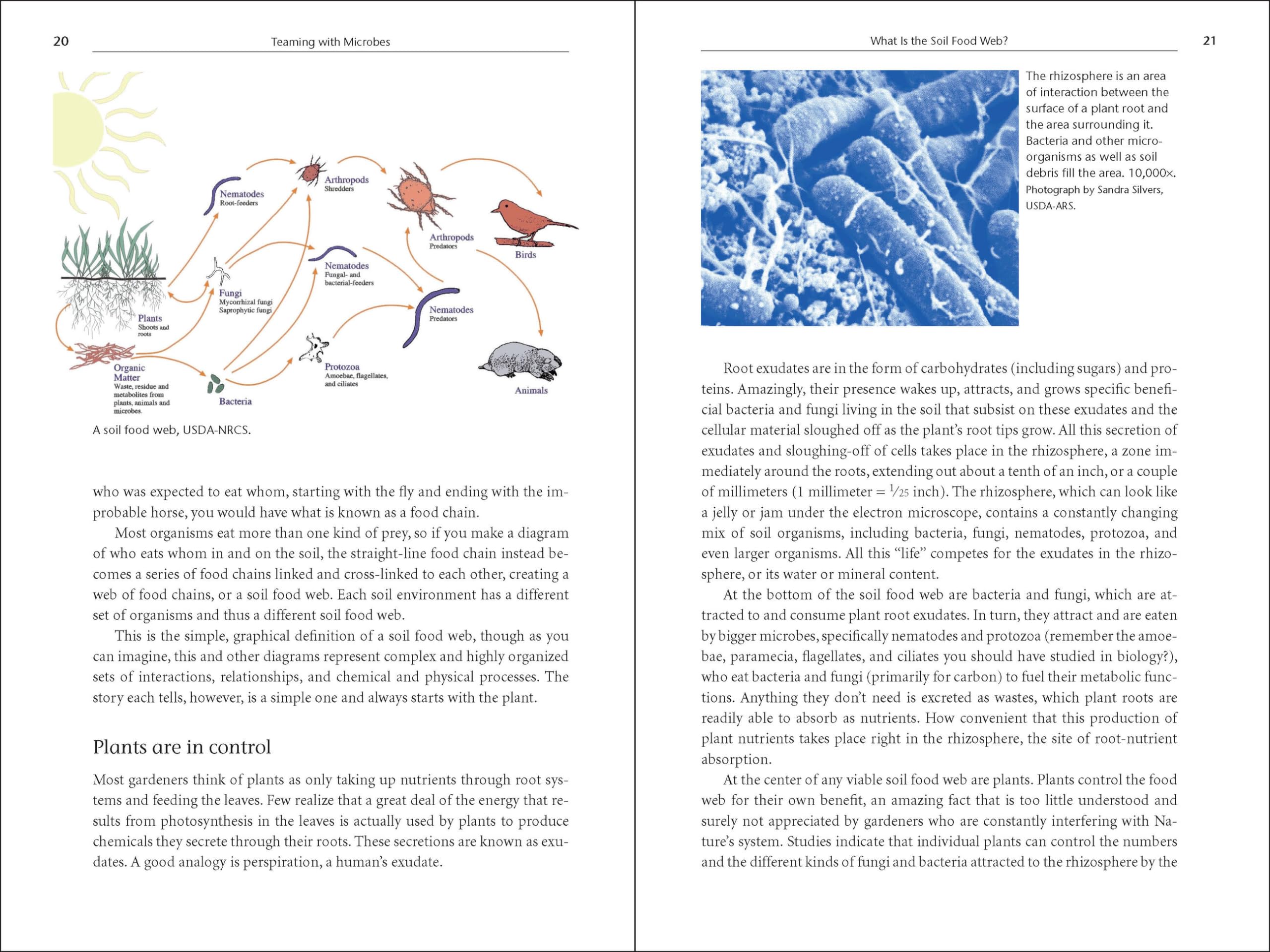 Teaming with Microbes: The Organic Gardener's Guide to the Soil Food Web