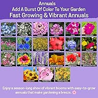 Vista 3 de NatureZ Edge Mezcla de semillas de flores silvestres – 2 onzas, 85,000 semillas, 35 variedades de semillas de flores perennes y anuales para plantar