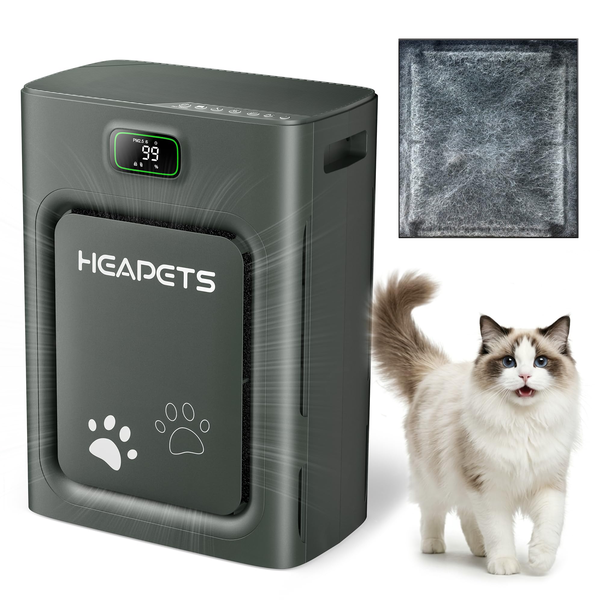 HEAPETS P358