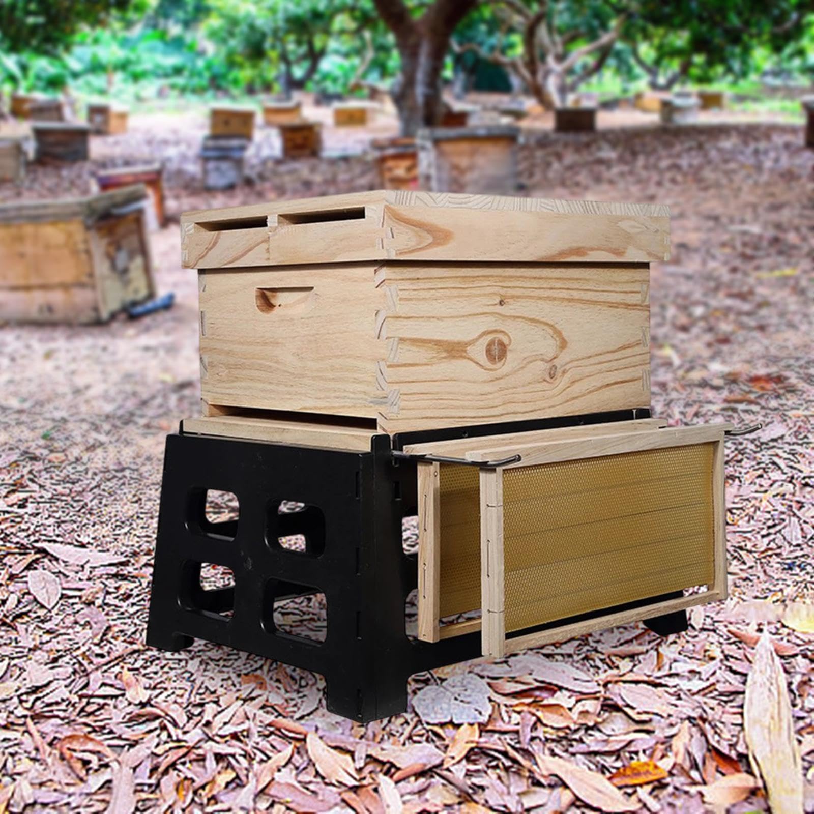 Soporte para Colmenas con circulación de Aire Mejorada. Optimiza | ventilación para las abejas. Diseñado específicamente para colmenas. Soporte para con protección y circulación de aire