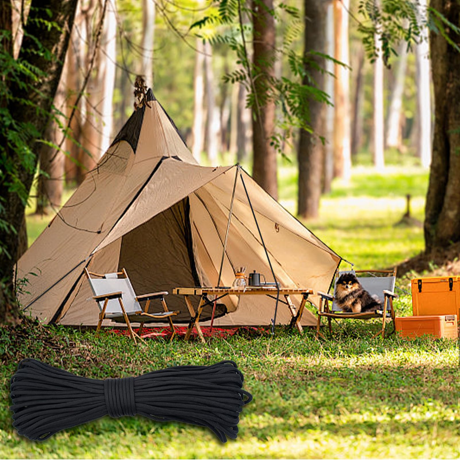 31m*4mm Paracord,Cuerda Paracord,Paracord 7 Core Strands,Cuerda Camping,Cuerda para Pulseras,7 Hilos,para Acampar al Aire Libre y la Supervivencia 102ft(Negro)