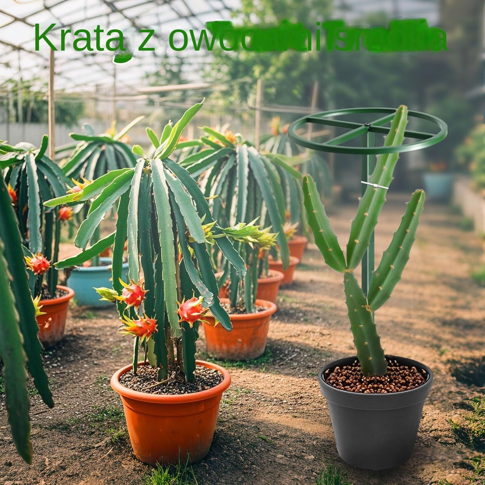 Ogrodowa rama wspinaczkowa, pionowa podpora dla roślin, metalowa krata z mocnymi prowadnicami winorośli, dekoracyjna struktura wzrostu, stojak na smocze owoce z wykończeniem odpornym na rdzę, akcesori