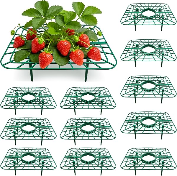 12 Pièces Support Fraisier, Support Fraises Réutilisable, Solide Tuteur Fraisier 4 Pieds Stables, Anti-Moisissure & Ravageurs, Amovible Support pour Protection Fraisiers Fleur Légume - 1
