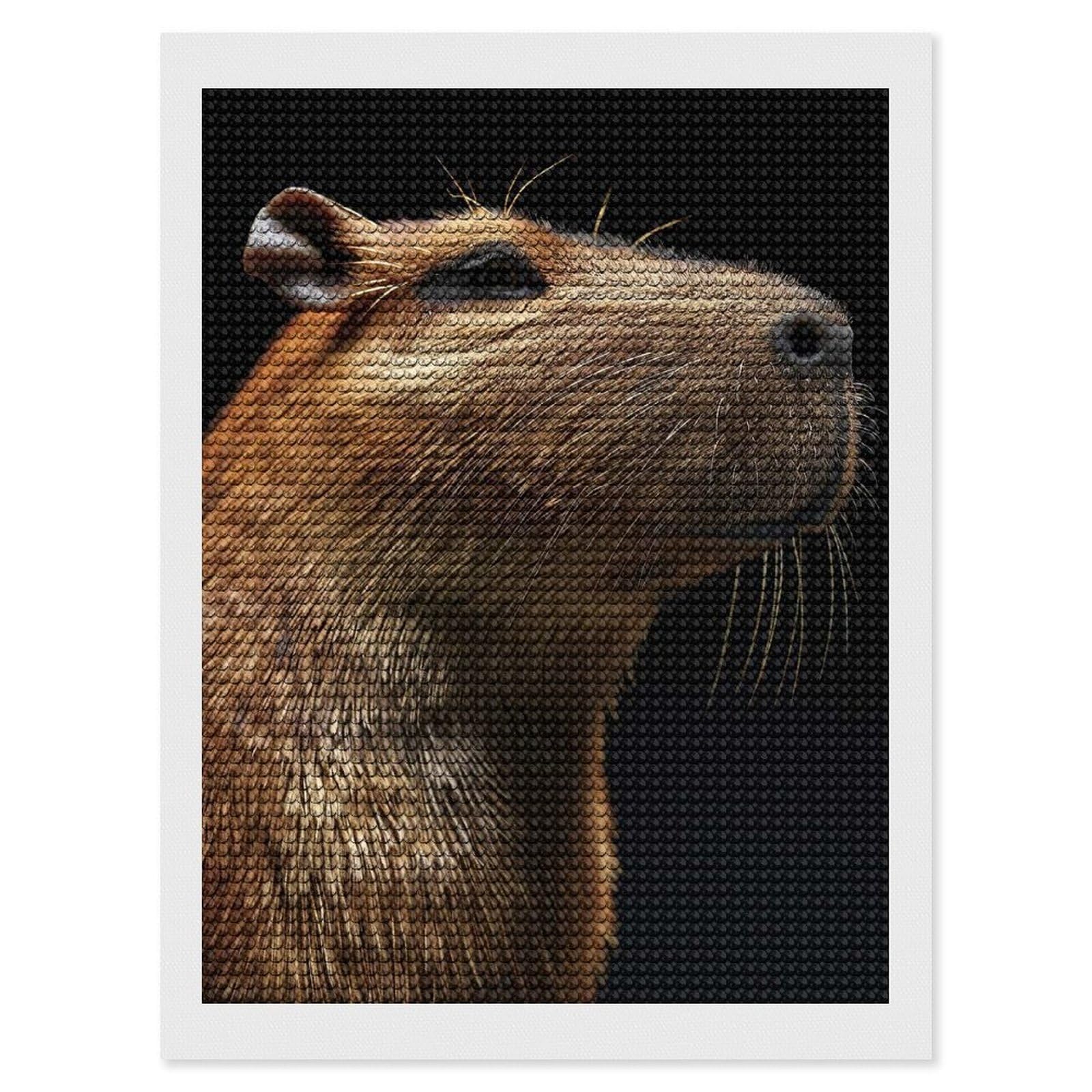 Junmoney Capybara Diamond Painting Canvas Set 12"x16", Mindful Craft Activity, Nice Detail and Sparkle, Farmhouse Decor, Birthday Gift