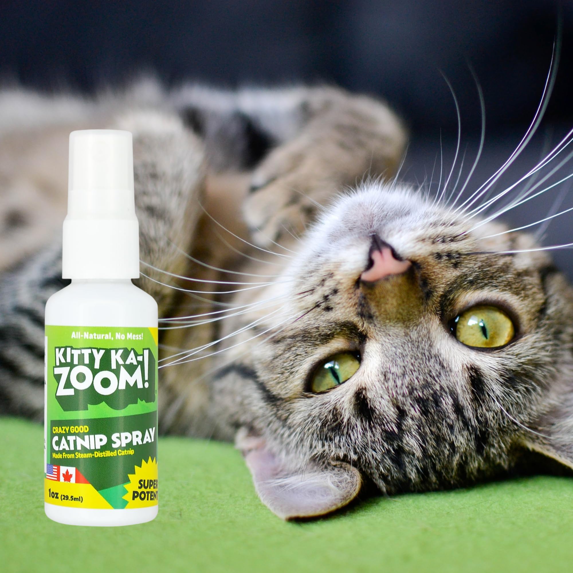 KITTY KA-ZOOM Catnip Spray - 4oz. Bottle | High Potency Catnip