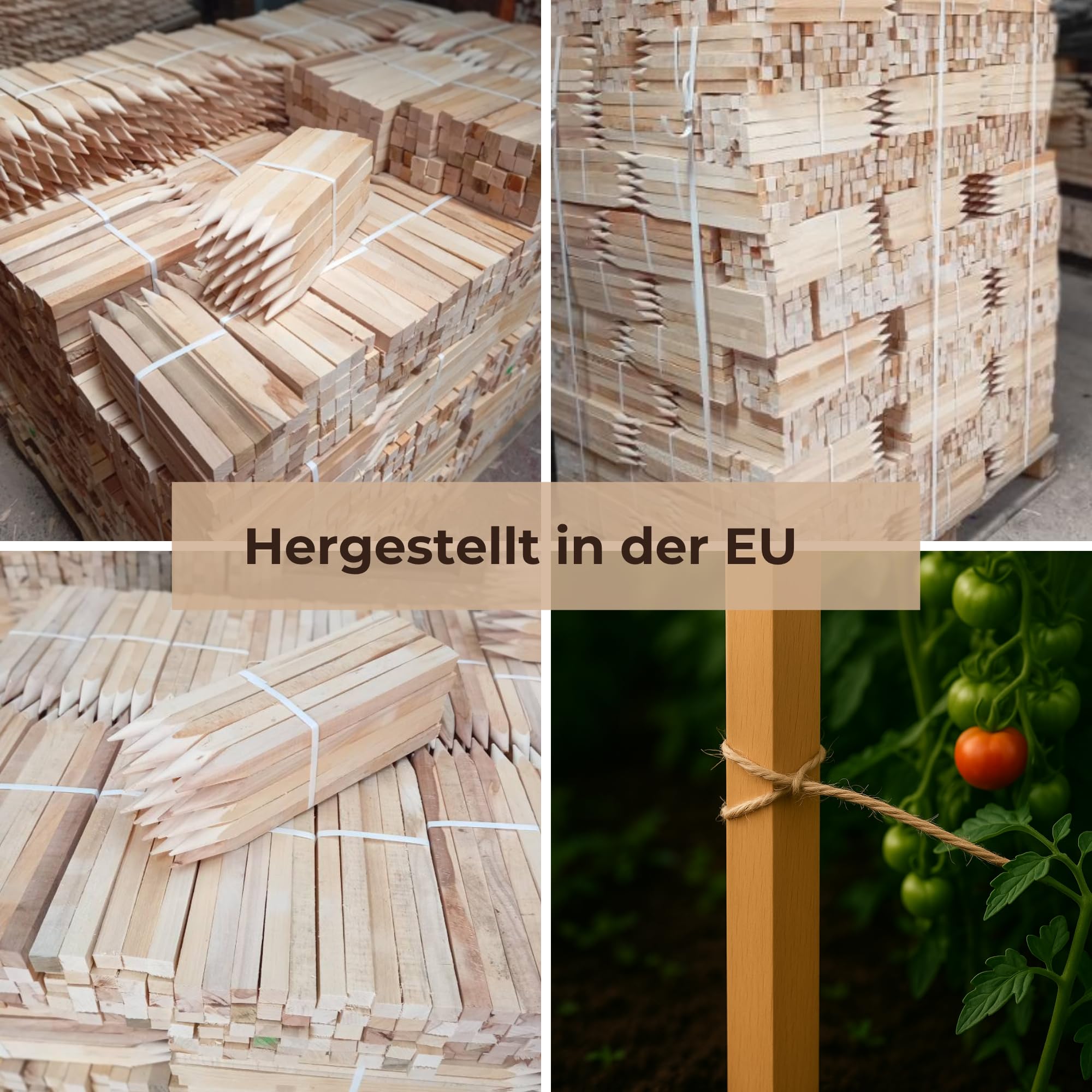 25 Picchetti in Legno di Faggio 80 cm 25×25 mm – Pali Quadrati per Giardino con Punta Robusta, Tutori per Pomodori, Pali da Recinzione e Piante, Segnalatori da Terra