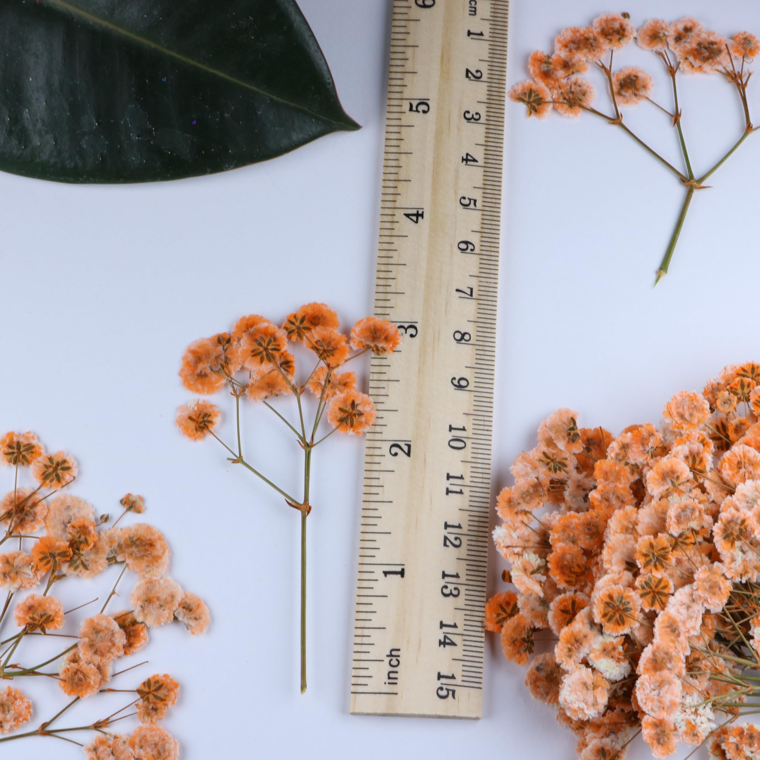 Gypsophila 100 szt. pomarańczowe suszone kwiaty do żywicy, tłoczony kwiat na zaproszenia ślubne pieczęcie woskowe