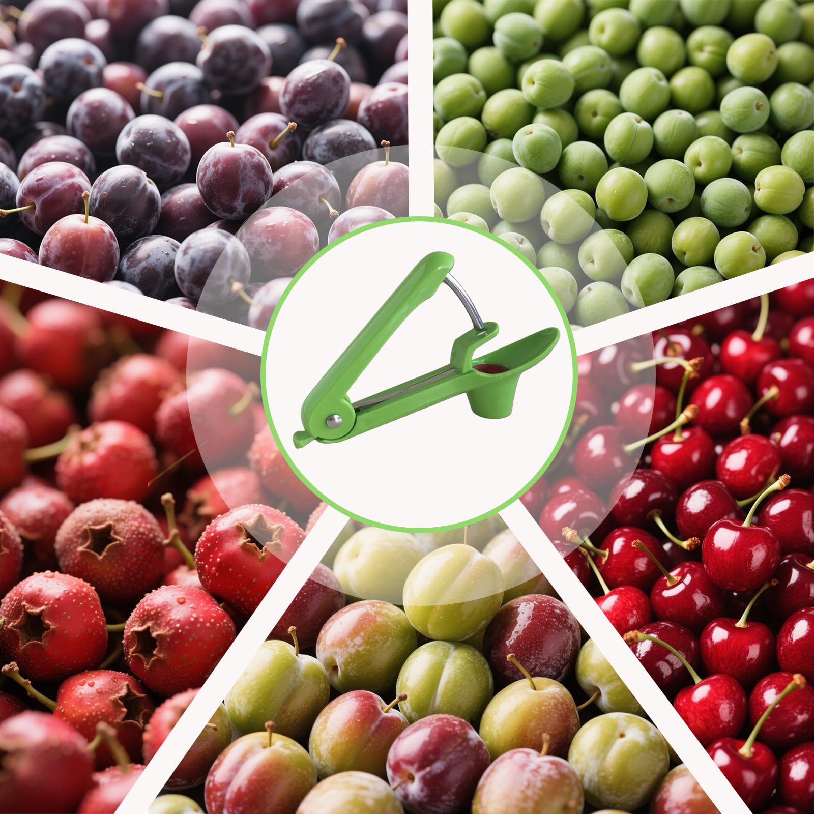 DÉNOYAUTEUR DE FRUITS - Dénoyauteur De Cerises, Dénoyauteur De