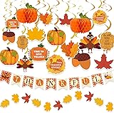 DAZONGE 40PCS Thanksgiving Decorations Set, Pre-Assembled Thanksgiving Banner & Garland, Hanging Decorations for Home, Office, Fall Harvest Home Party Décor Thanksgiving 01