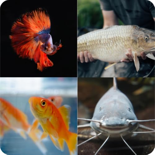 Sea Life Puzzle 2023