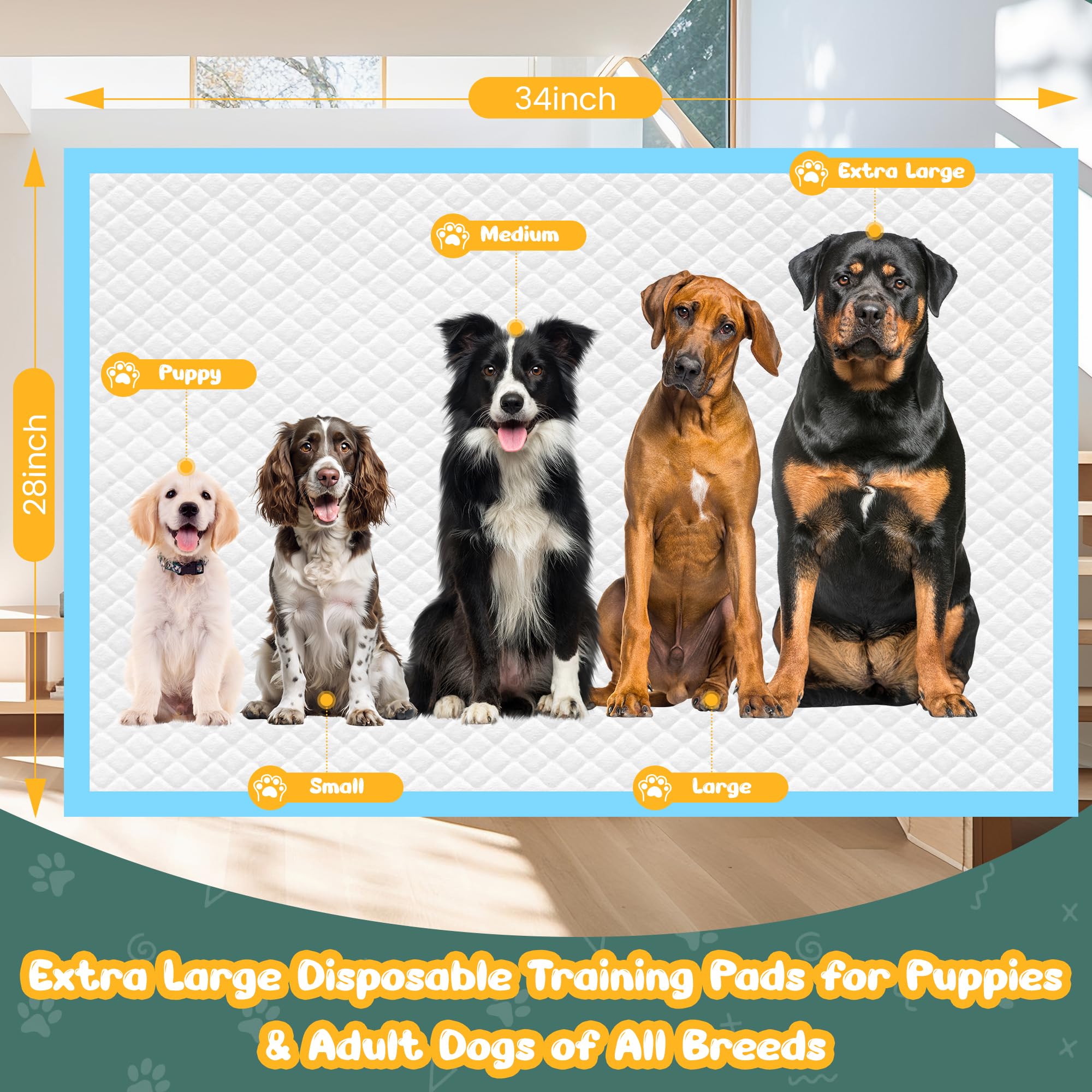 60 almohadillas para orina de perro, extragrandes, 28 x 34 pulgadas, súper absorbentes, almohadillas desechables para entrenamiento de perros, de secado rápido y a prueba de fugas, para perros,