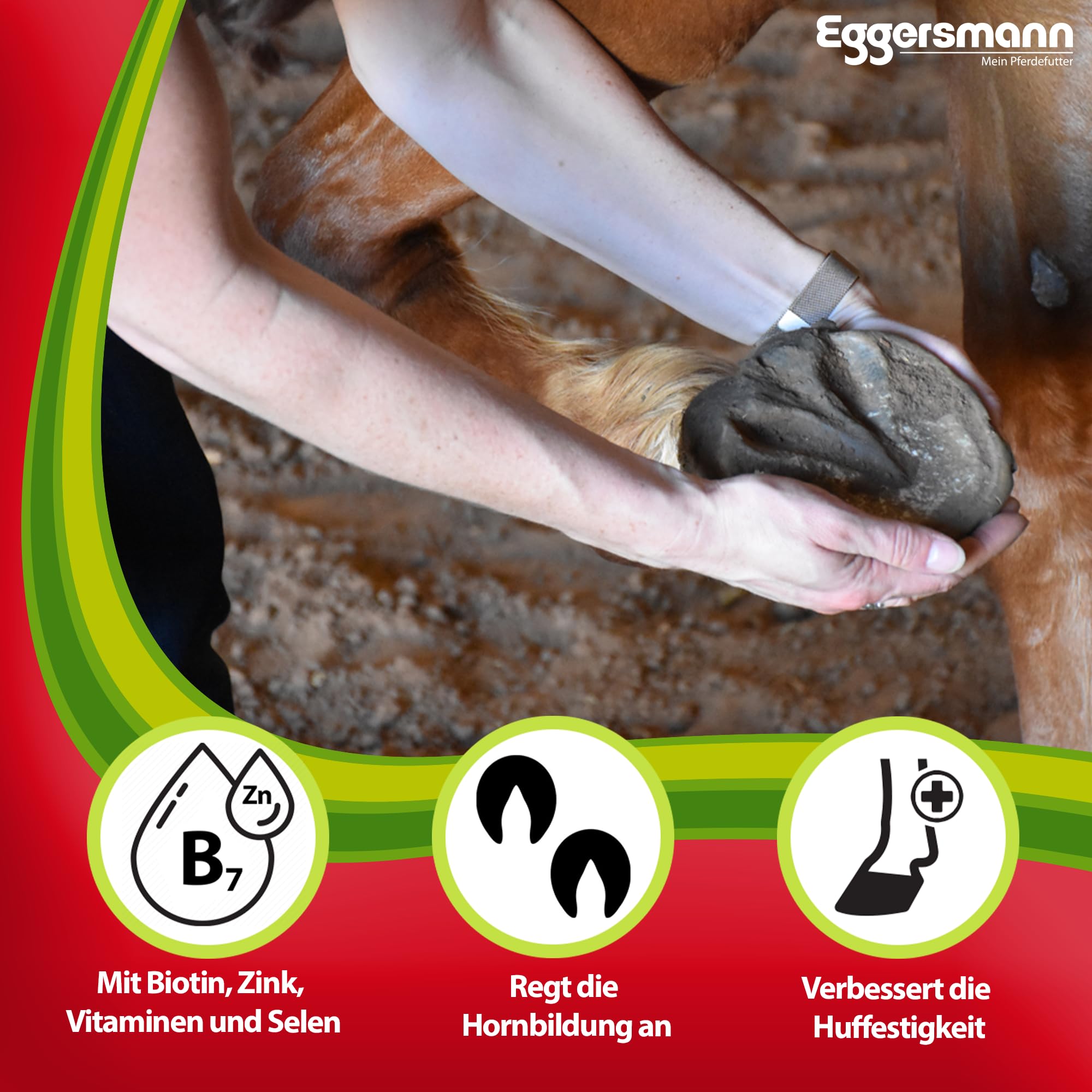 Eggersmann Profi Biotin Plus koncentrat dla koni, dodatkowa karma dla zdrowych kopyt i sierści, 1 opakowanie (1 x 1 kg)