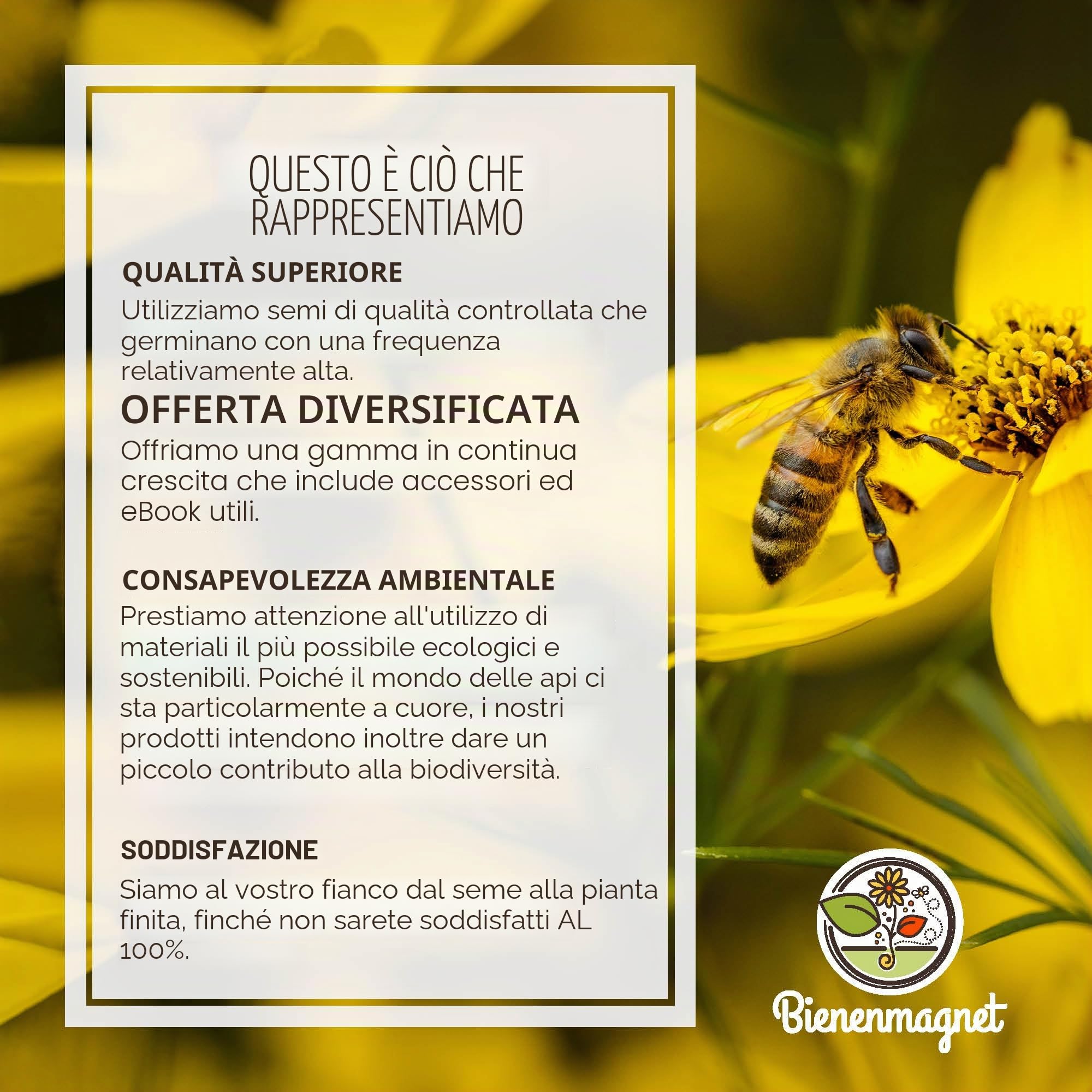 Provette con semi di fiori come bomboniere per il matrimonio - Un regalo speciale per gli ospiti come omaggi - Lasciate crescere il nostro amore Set completo (confezione da 50) - Bienenmagnet