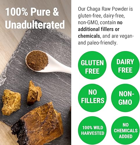 Miniatura 7 de Sayan Polvo de chaga grueso siberiano crudo de 4 onzas (3.99 oz) de té de hongos cosechados salvajes, potente suplemento antioxidante adaptógeno