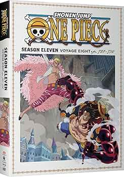 ワンピース　DVD　11th〜14th SEASON Amazon.co.jp: ONE PIECE ワンピース 14thシーズン マリン