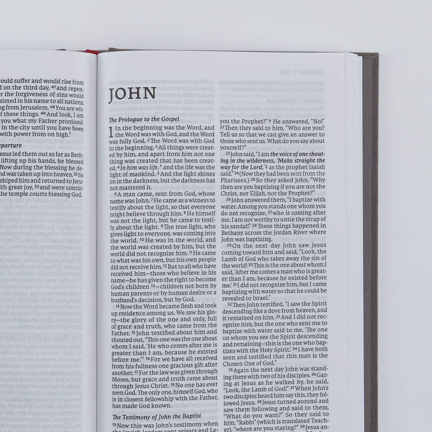 NET Bible, Thinline Large Print, Cloth over Board, Gray, Comfort Print: Holy Bible - Image 5